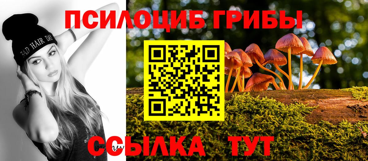 Чехов  Псилоцибиновые грибы GOLDEN TEACHER  Псилоцибиновые грибы Magic Shrooms  Вход с VPN 